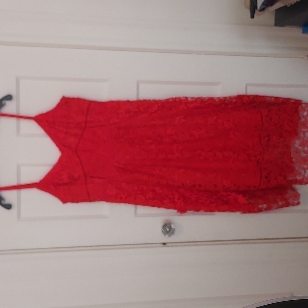 Ted Baker Valens Red Lace Midi Dress - Picture 5 of 12